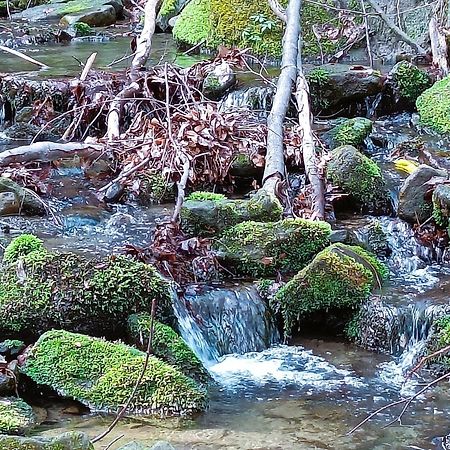 Modry Domek Щирк Экстерьер фото